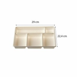 Plateau repas PLA 5 compartiments 24 x 29,5 x 3 cm - par 50