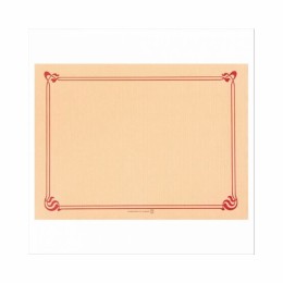 Set de table papier ivoire 31 x 43 cm - par 500