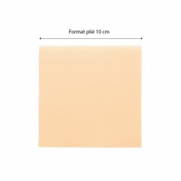 Serviette cocktail double point ouate beige 20 x 20 cm - par 100