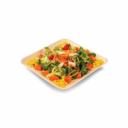 Assiette carrée 18 cm en feuille de palme - par 25