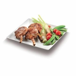 Assiette carrée en bagasse 18 x 18 cm - par 50