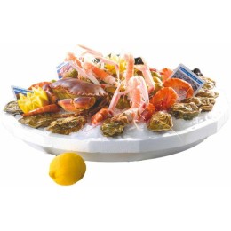 Plateau fruits de mer polystyrène ovale blanc 50 x 35 cm - par 30
