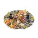Plateau de fruits de mer en bagasse Ø 35 cm - par 50