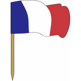 Pique drapeau français bois 6,5 cm - par 144