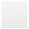Serviette ouate non tissé blanche 40 x 40 cm - par 50
