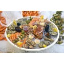 Plateau fruits de mer bagasse rond blanc Ø 35 cm - par 30