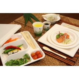 Plateau repas bagasse 5 compartiments 24 x 29,5 x 4 cm - par 50