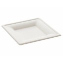 Assiette carrée en pulpe de canne 15 x 15 cm - par 50