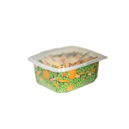 Barquette plastique transparente avec couvercle Ondipack 1200 ml - par 300