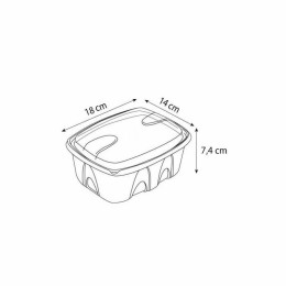 Barquette plastique transparente avec couvercle indépendant Archipack 750 ml - par 480