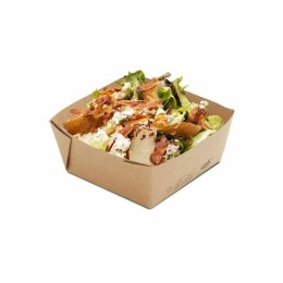 Barquette viking kraft brun biodégradable 510 ml - par 300