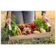 Exploitant agricole