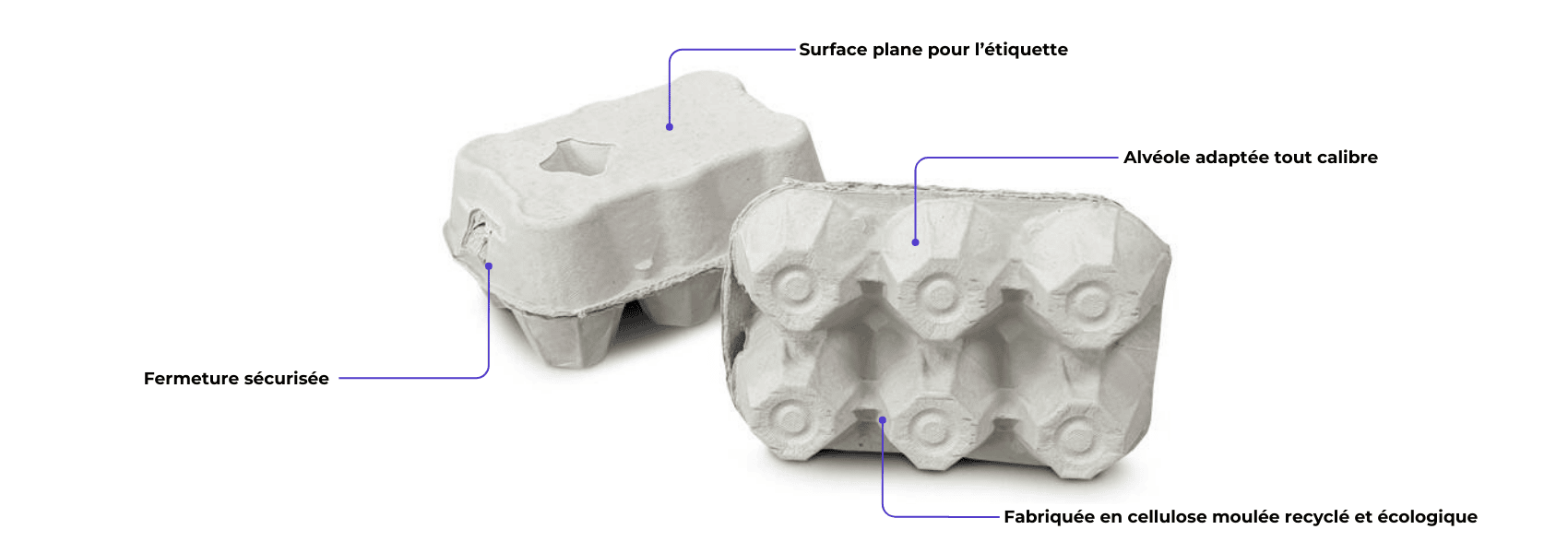 Schéma boite à œufs carton