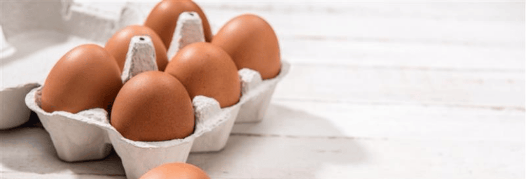 Avantages des boites à oeufs en fibre moulée