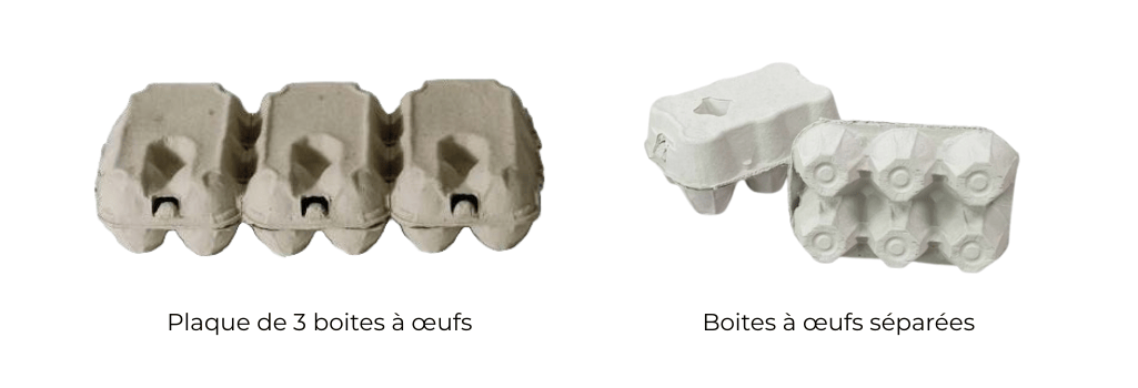 Lot de boite à oeufs