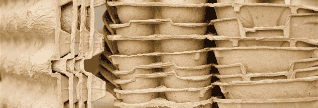 Boite à oeufs recyclable