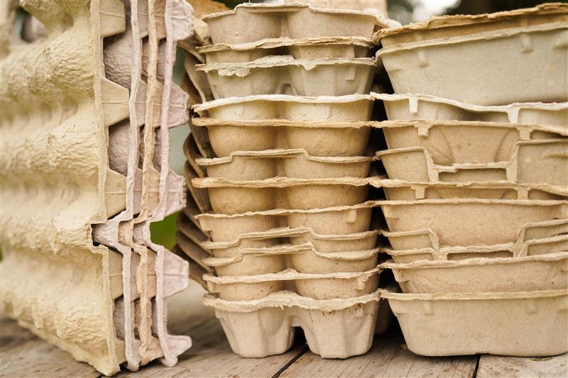 Recyclage boite à oeufs