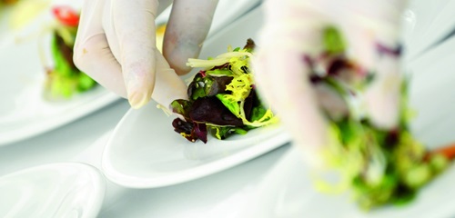 Gant alimentaire plastique
