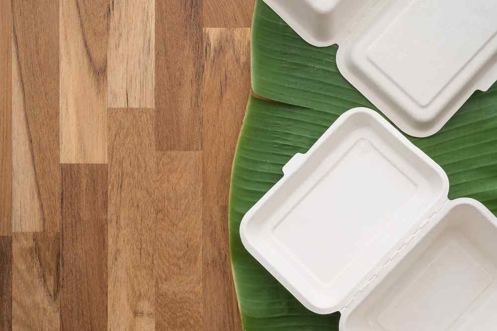 Barquette bagasse