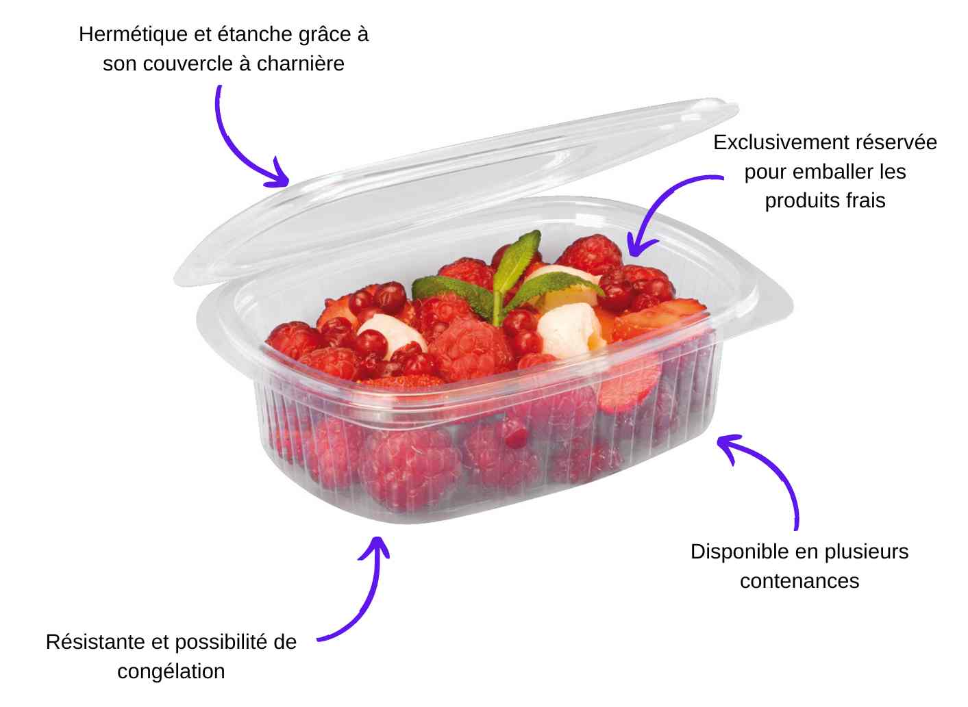 caractéristiques barquette standipack 