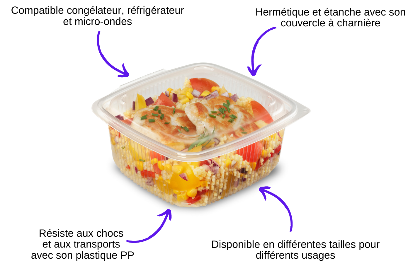 barquette ondipack barquette ondipack