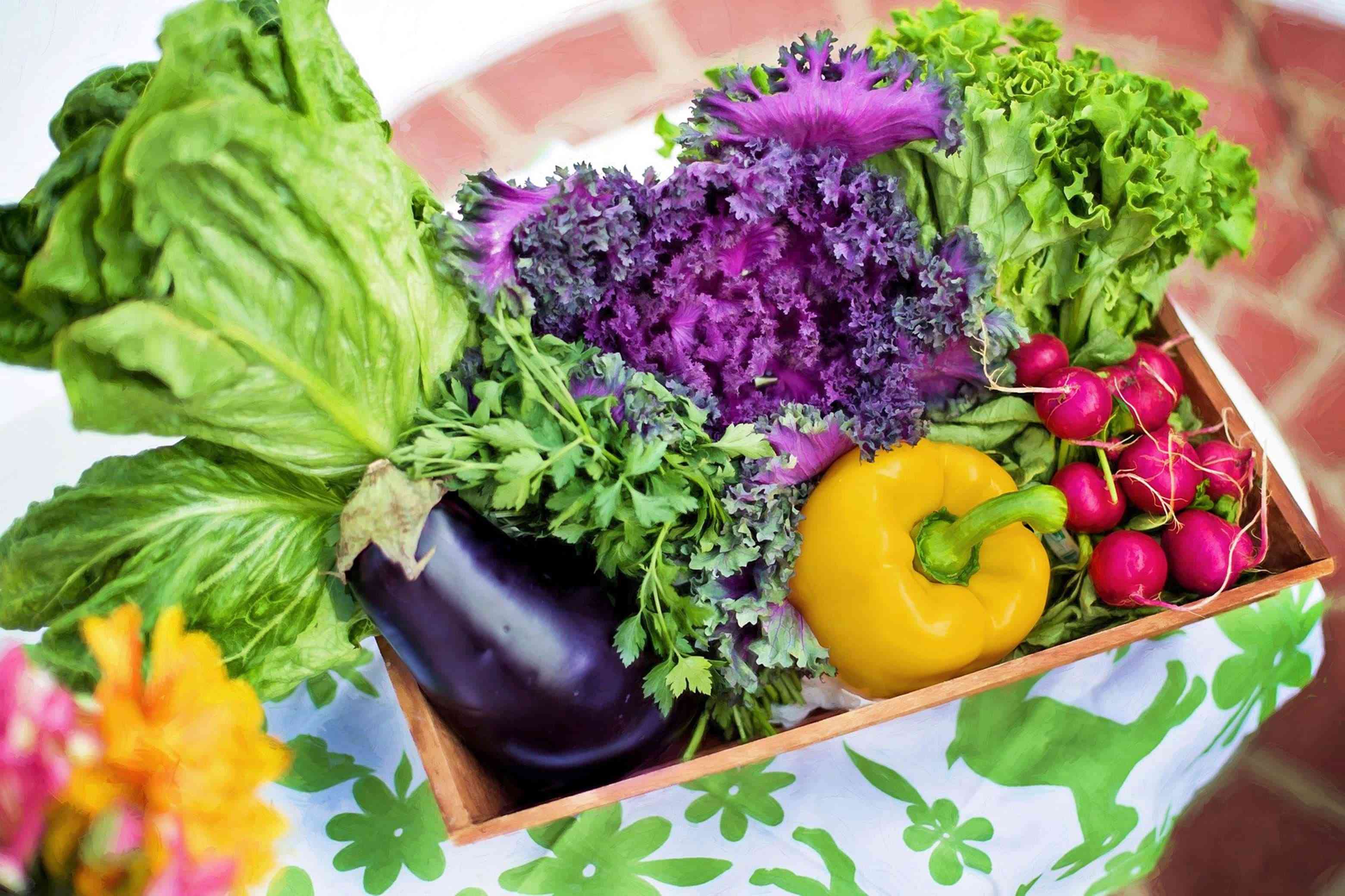 Emballage professionel fruits et légumes Emballage professionel fruits et légumes